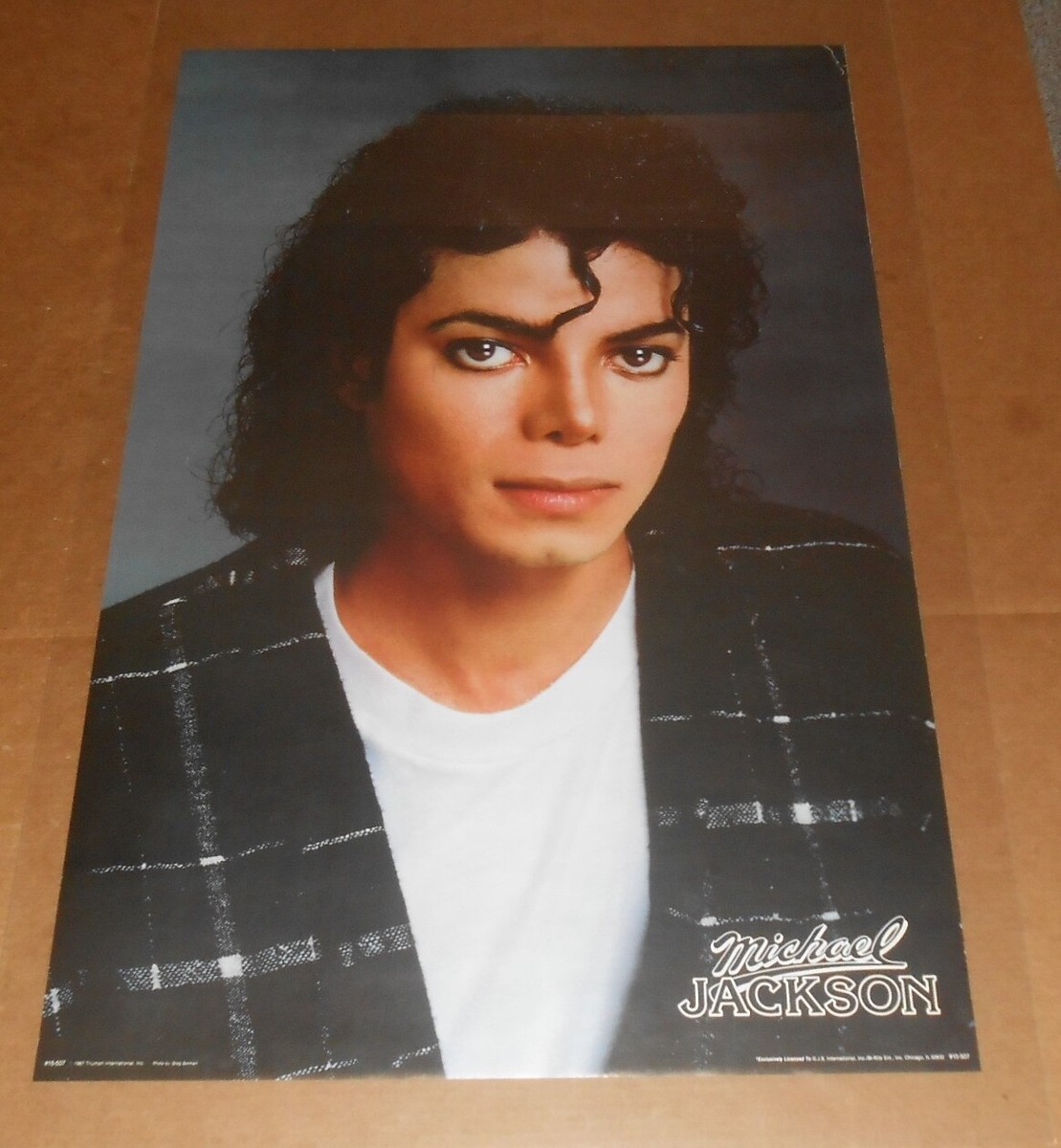 MICHAEL JACKSON 1987 ファンクラブ会員証 会報誌 入会特典 MICHAEL JACKSON 1987 ファンクラブ会員証 会報誌 入会特典 Michael