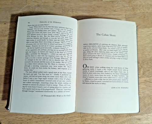 The Wilderness World of John Muir - Vintage First Edition Hardcover Book 1954 - Picture 12 of 12