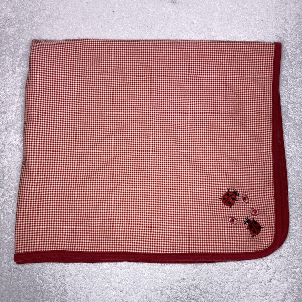 VTG Dan Place Picnic Red Gingham Glitter Ant Needlepoint Belt Womens Size 30 Style 2119 a.jpg main image 2