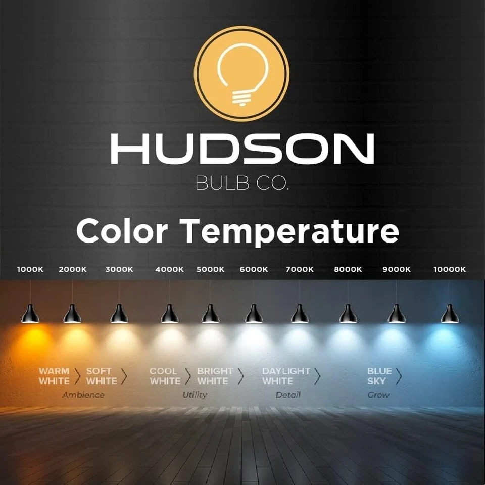 HUDSON BULB CO. Vintage LED Edison Light Bulbs 60W (6 Pack)- E26/E27 Base - Image 4 of 4