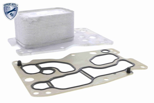 NEU - Vemo V20-60-0076 ÖLküHler, MotoröL FüR BMW Mini-image