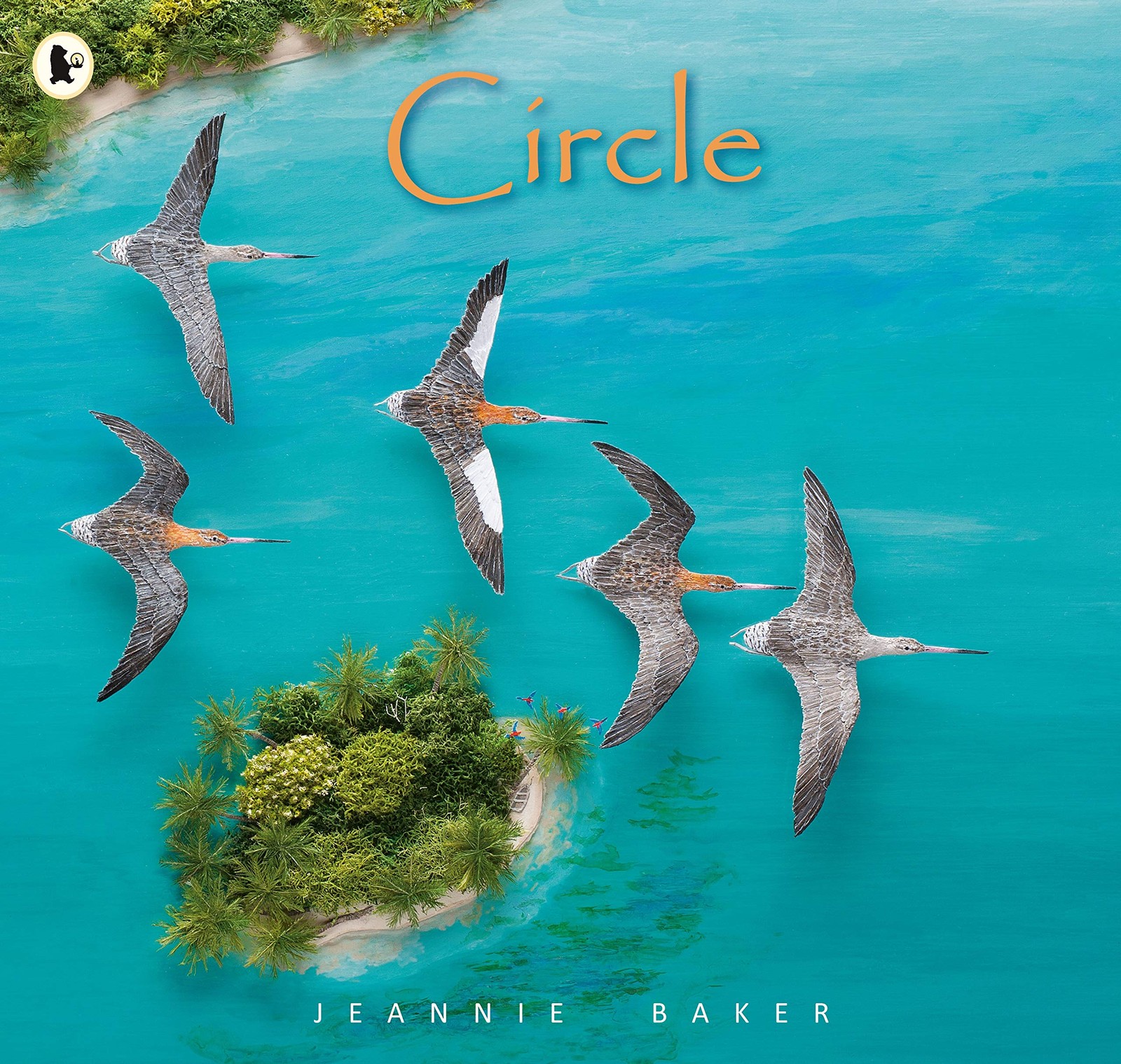 Circle by Jeannie Baker Paperback Children's Picture Story Book Ages 5-9