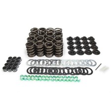 Trick Flow Valve Spring Upgrade Kit For Ford 289-351w- Tfs-2500100