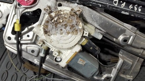 Fensterhebermotor Vorne Rechts  BMW 5-Series DE170758-14