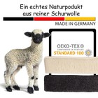 Bild 7 von 7