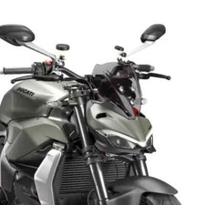 Ducati Streetfighter V2 2022-2024 getönte Wi...