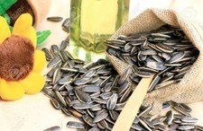 Sunflower seeds, Roasted salted sunflower seeds snacks