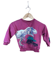 Jurassic World Universal Studios 3T Toddler Sweatshirt TRex Dinosaur