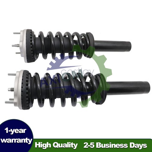 Maserati Ghibli S Q4 Front Strut assemblies 2 pcs P/N 670030333 Photo - $195