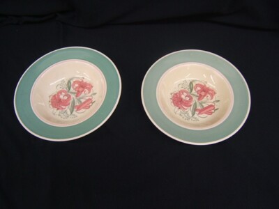 Lot of 2 Susie Cooper Tiger Lily 8