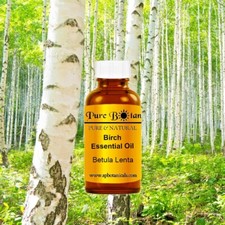 Birch Essential Oil  100 Pure  Natural  Therapeutic Grade  NEW  4oz Glass