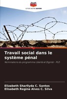 Travail Social Dans Le SystèMe PéNal Elizabeth Sharllyda C. Santos (U. A.) Buch