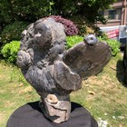 29.4LB Natural Ammonite Cluster Fossil Polished Specimen Healing Collection 5110 — photo 10