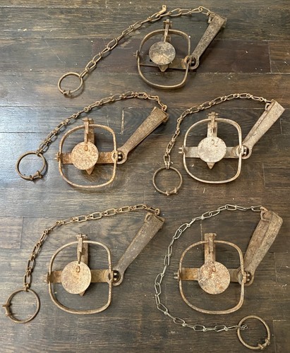 5 BLAKE & LAMB #1 1/2 Long Spring Traps Raccoon and Muskrat Foothold #1 ...