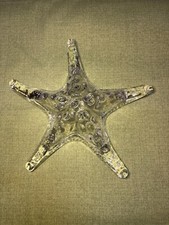 Large 12  Art Glass Starfish Clear Glass Starfish Coastal Decor