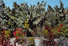 Spain ISLAS CANARIAS GRAN CANARIAS