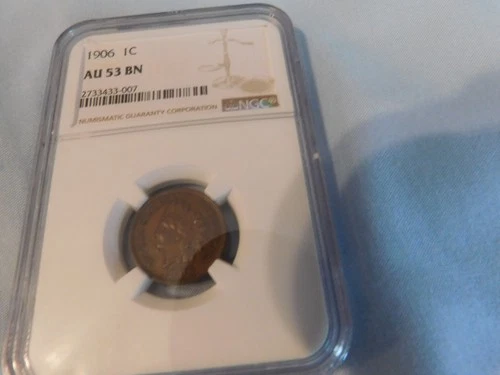 1906 INDIAN HEAD CENT NGC AU 53 BN
