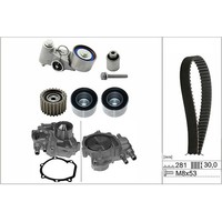 Ina 530056330 Zahnriemensatz + Wasserpumpe FüR 2.0 2.5 150-301 Ps