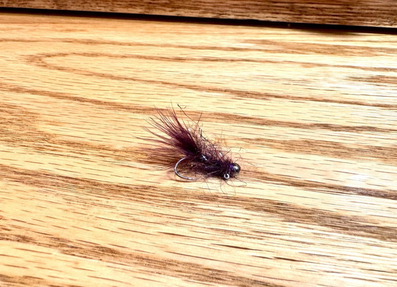 6 Tungsten BH Blood Balanced Leech 8 to 12 - Fly Fishing Flies