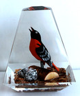 Vintage Hand Carved Painted Oriole Bird Lucite/acrylic Unique Canada Paperweight — photo 1