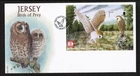 Jersey 2001 Owl Miniature Sheet First Day Cover