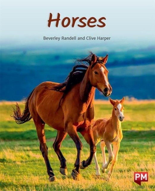 HORSES by Beverley Randell PAPERBACK 9780170328913 - Image 2