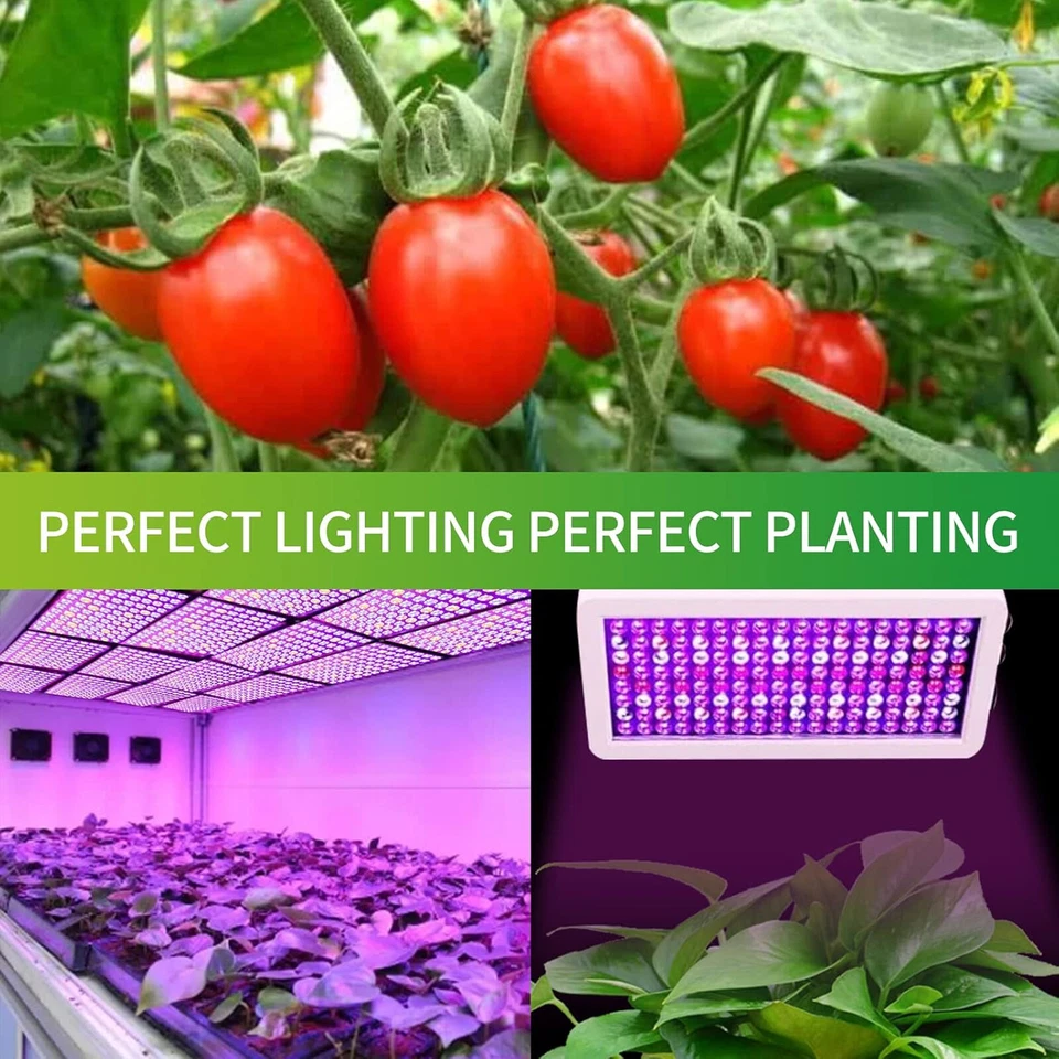 LED Pflanzenlampe Vollspektrum LED Gewächshaus Lampe Grow Light Wachstumslicht - Bild 4 von 4