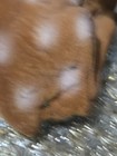 Vintage Flocked Spotted Deer Doe Fawn Figure Brown Plastic Eyes SC Hong Kong — photo 7