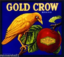 Yakima Washington State Gold Crow Bird Apple Fruit Crate Label Vintage Art Print
