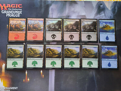  MTG - Restposten 12 FOIL Standard Shown Alayna Danner Land - Basic Island, Swamp