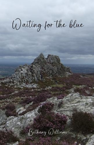 Bethany Williams Waiting for the blue (Tascabile)