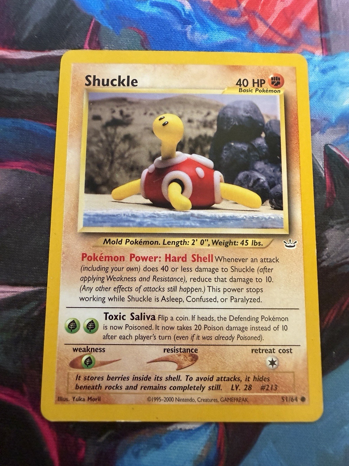 Shuckle 51/64 Neo Revelation Regular