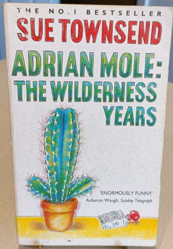 BBC Vintage Adrian Mole the Wilderness Years used Condition - Afbeelding 1 van 4