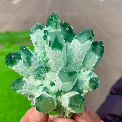 190GNewly Discovered Green Phantom Crystal Quartz Cluster Mineral Sample Healing