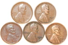 (5) Lincoln Wheat Cents - XF - 1909VDB 1926D 1929S 1930D 1931D - #2478E