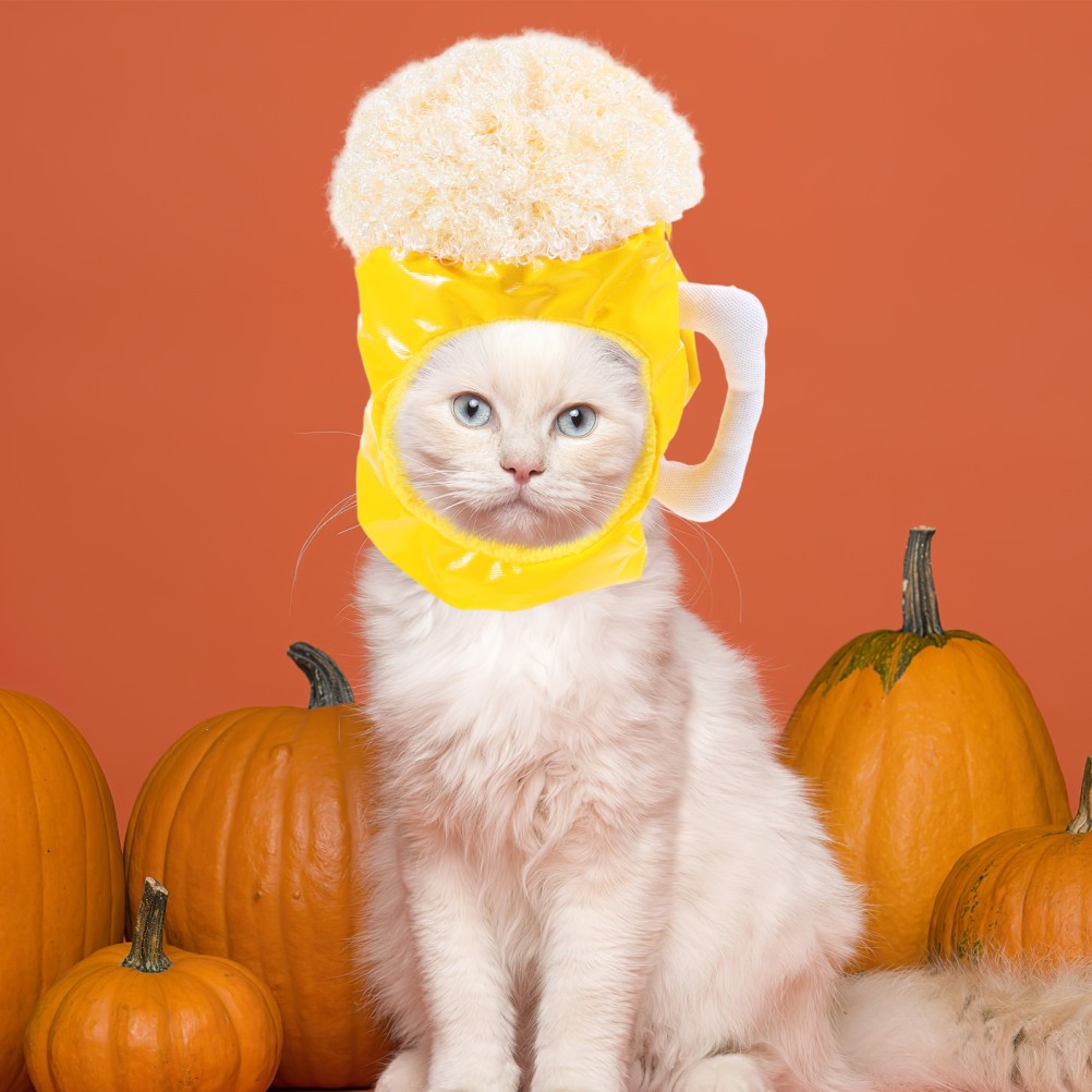 Cappello carino per animali domestici foto 3