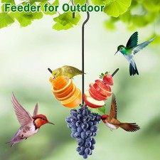 Oriole Bird Feeder Oriole Feeder for Outdoors Lightweight Versatile Pet Supplies