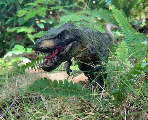 Tyrannosaurus Rex with Movable Jaw Dinosaur Roaring Toys-12 Inches Length - H... - Picture 3 of 9