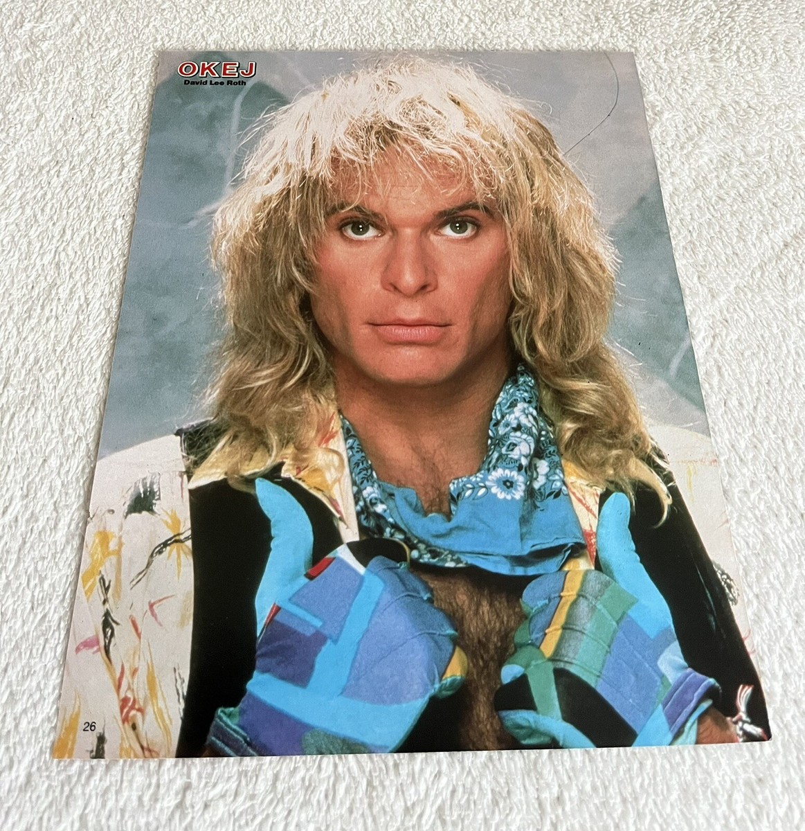 DAVID LEE ROTH 1987 Van Halen Clipping Poster Swedish Music