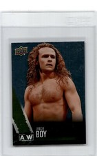 2021 Upper Deck AEW All Elite Wrestling Rainbow Foil Parallel  Jungle Boy