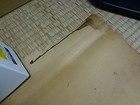 Picture 11 of 11