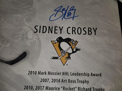 Sidney Crosby Autographed signed 20x29 Framed Stats Canvas 25/87