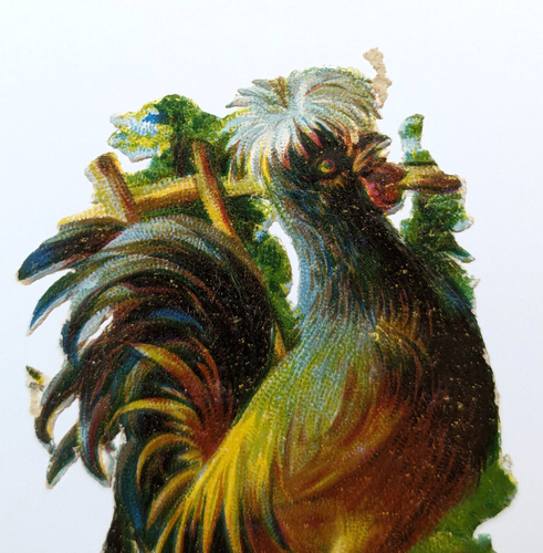 Die Cut Scrap Birds Swan Peackock Turkey Rooster Chicken Guinea Fowl - Picture 16 of 18