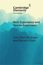 Rich Experience and Sparse Awareness: Sensing More Than We Know (Paperback or So