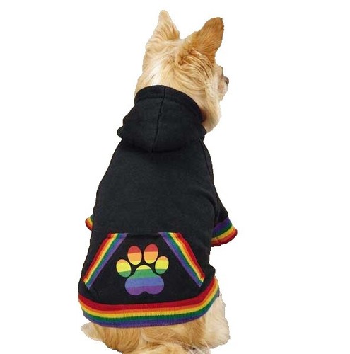 Supreme GORE-TEX Camo Dog Jacket Coat Clothes Size XL Brand New