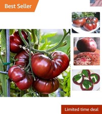 30 Giant Black Krim Tomato Seeds - Delicious Low Acid Heirloom, Indoors or Out