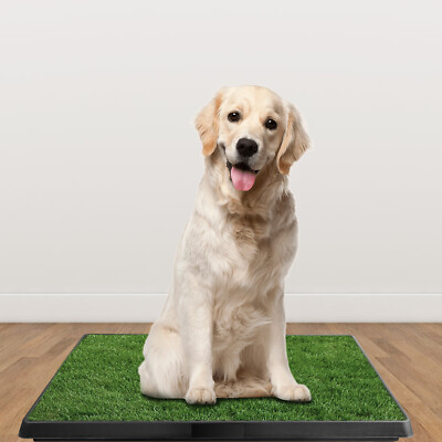 Pet Dog Toilet, 304 Stainless Steel Automatic Drainage, Pet Dog Training Tray, Large Capacity for Easy Cleaning