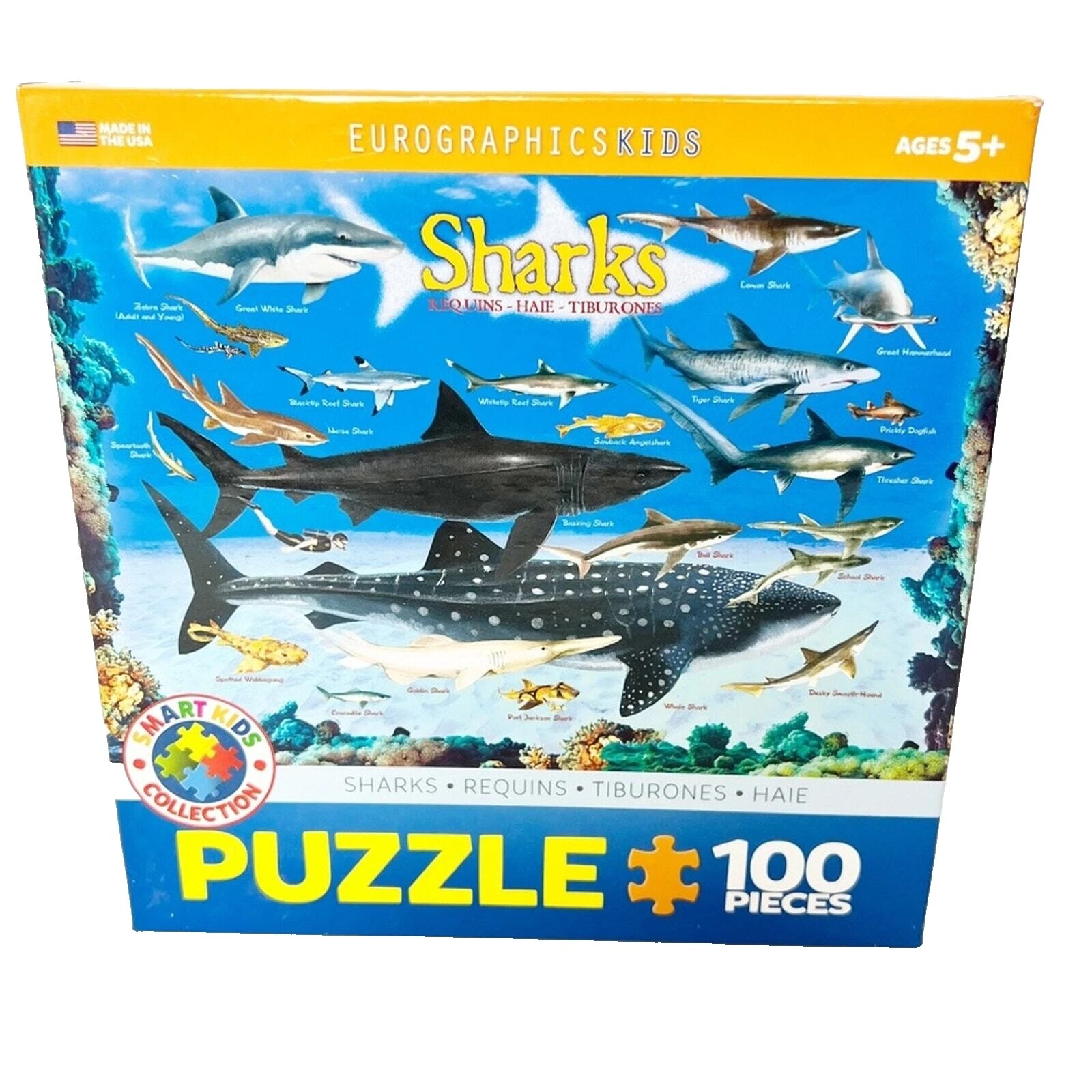 Eurographics 棋盘传统游戏