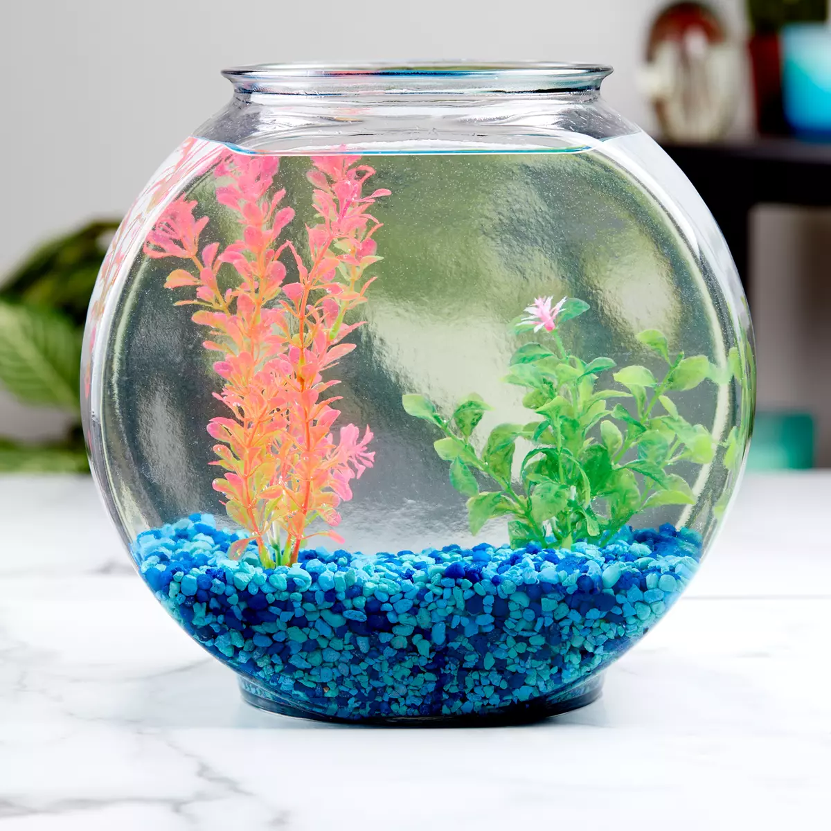 2-Gallon Fish Bowl Dome Glass Drum Aqua Culture Aquatic Pet Round