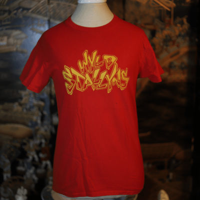 Small Bill and Ted's Excellent Adventure Wyld Stallyns Movie Band